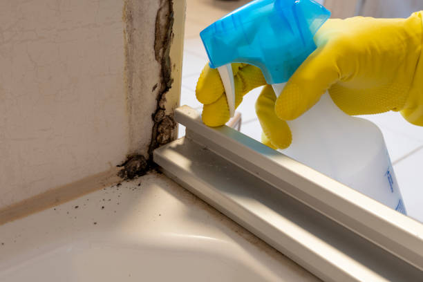 Best Residential Mold Removal  in Kualapuu, HI