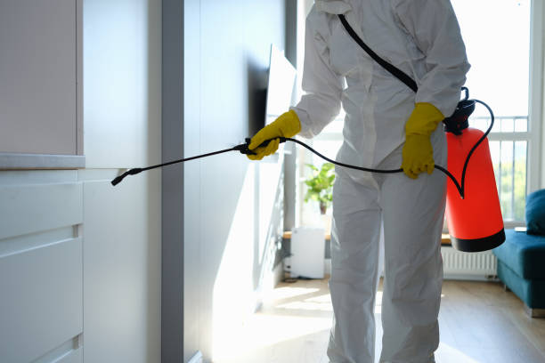 Best Office Mold Removal Services  in Kualapuu, HI